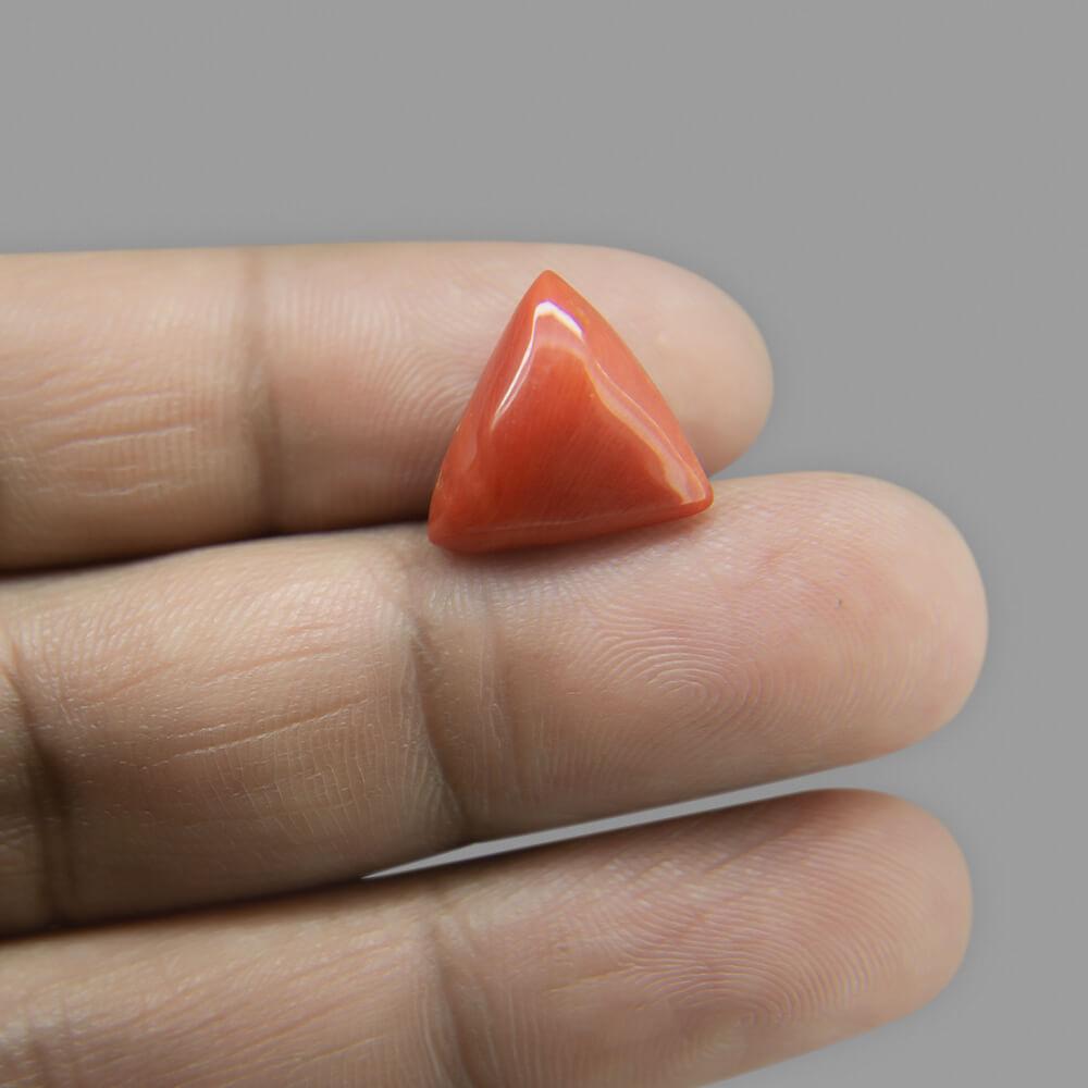 Red Coral - 6.90 Carat