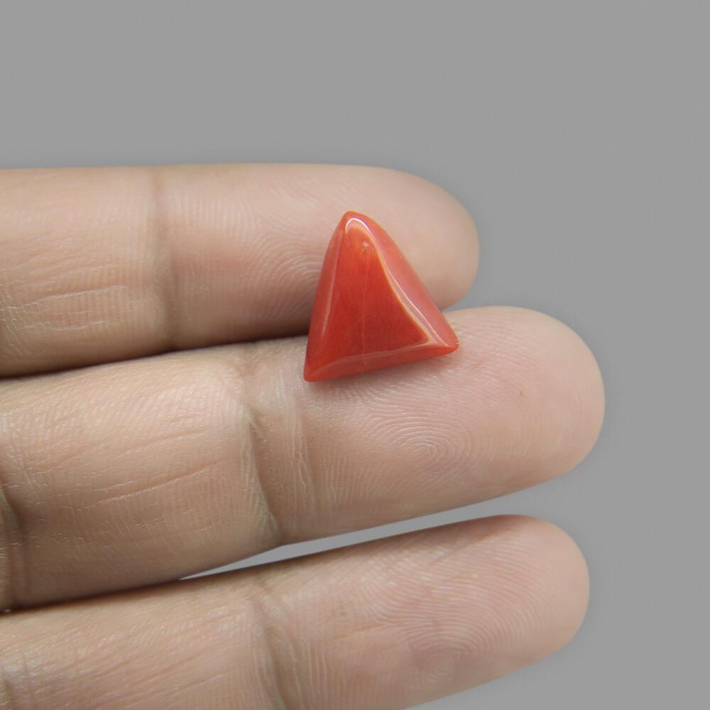 Red Coral - 6.08 Carat