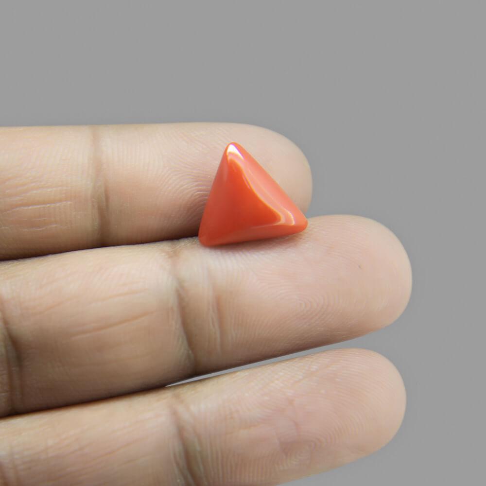 Red Coral - 4.85 Carat