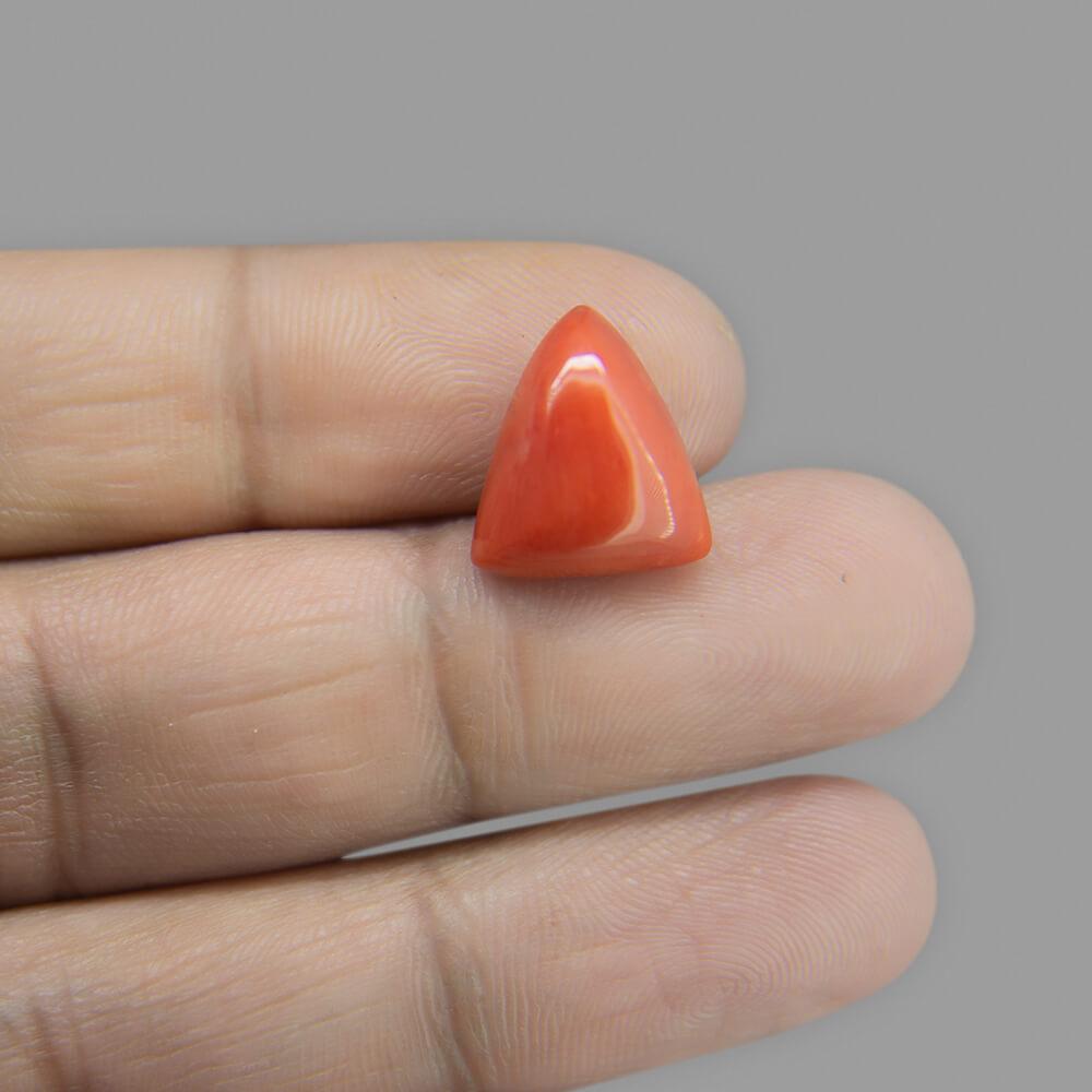 Red Coral - 7.52 Carat