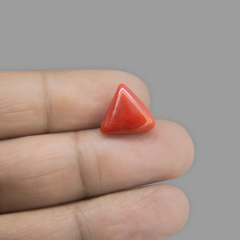 Red Coral - 6.09 Carat