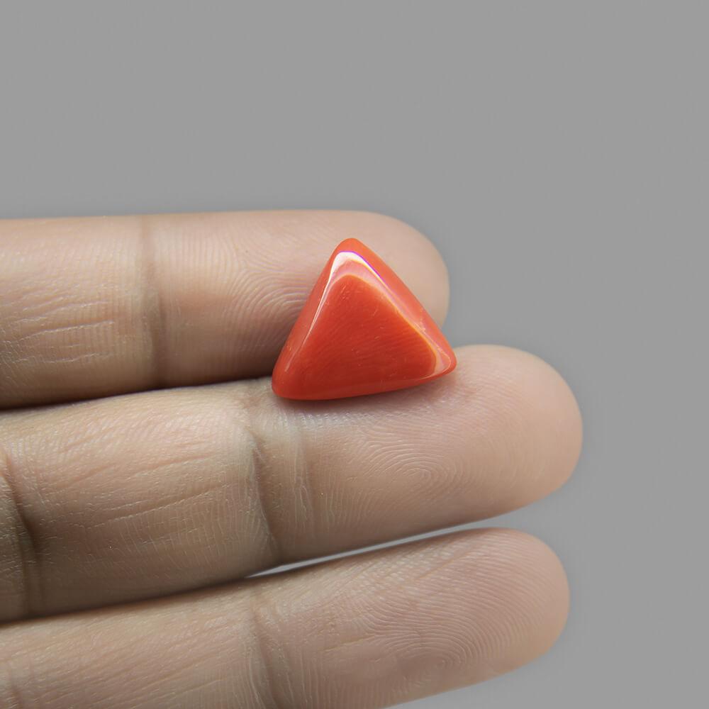 Abhimantrit Triangle Red Coral/ Moonga Stone- 15.65 Carat – Shivaago