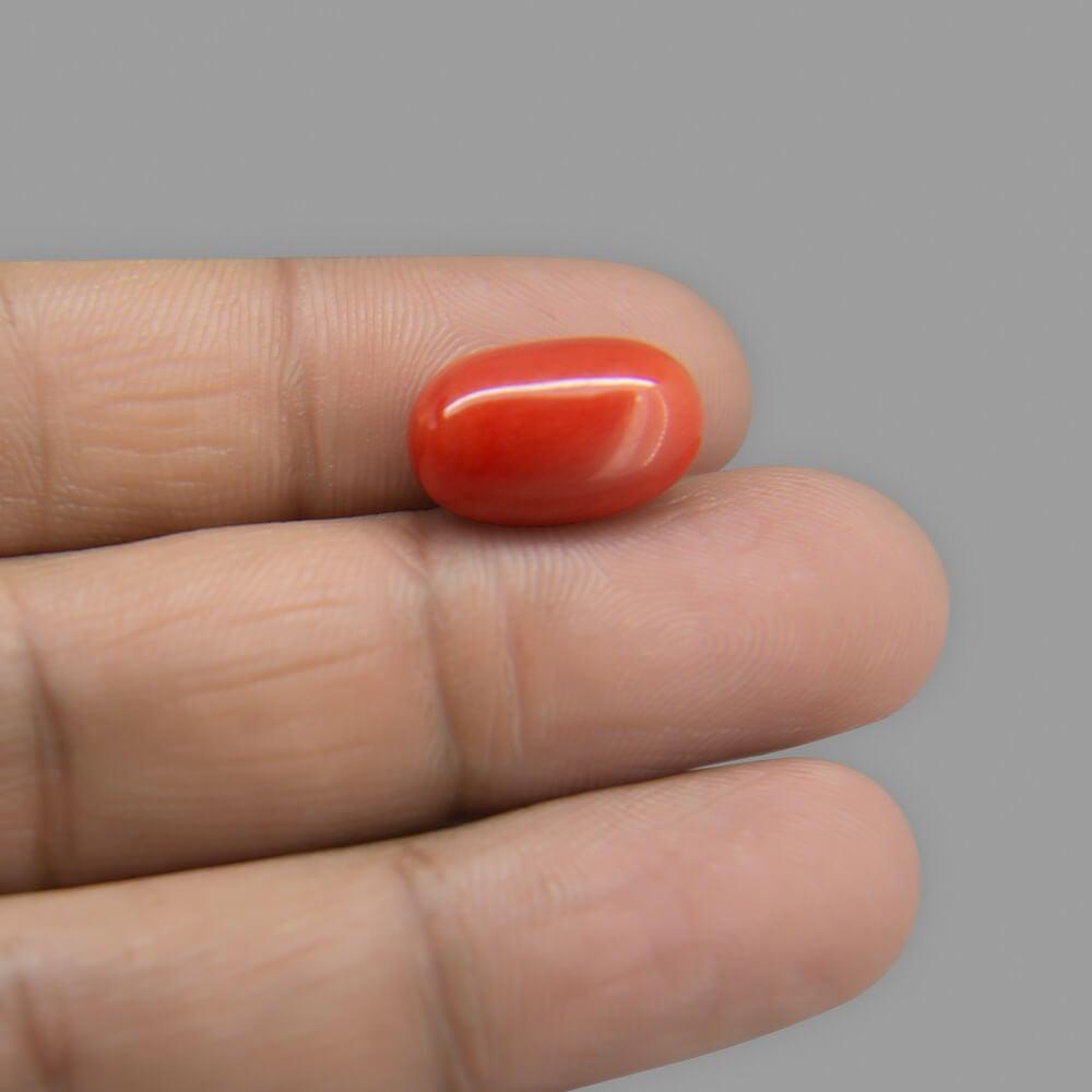 Red Coral - 8.61 Carat