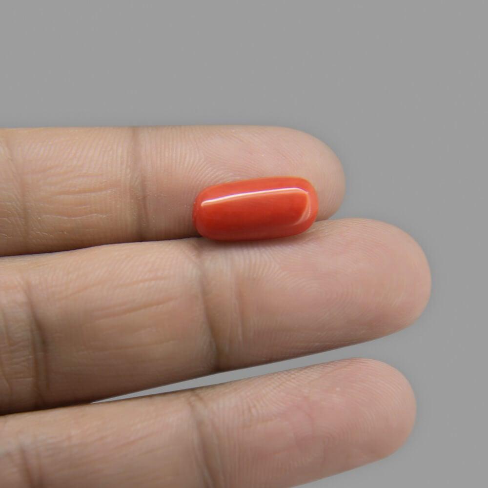 Red Coral - 5.74 Carat
