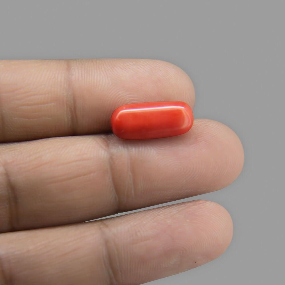 Red Coral - 6.18 Carat
