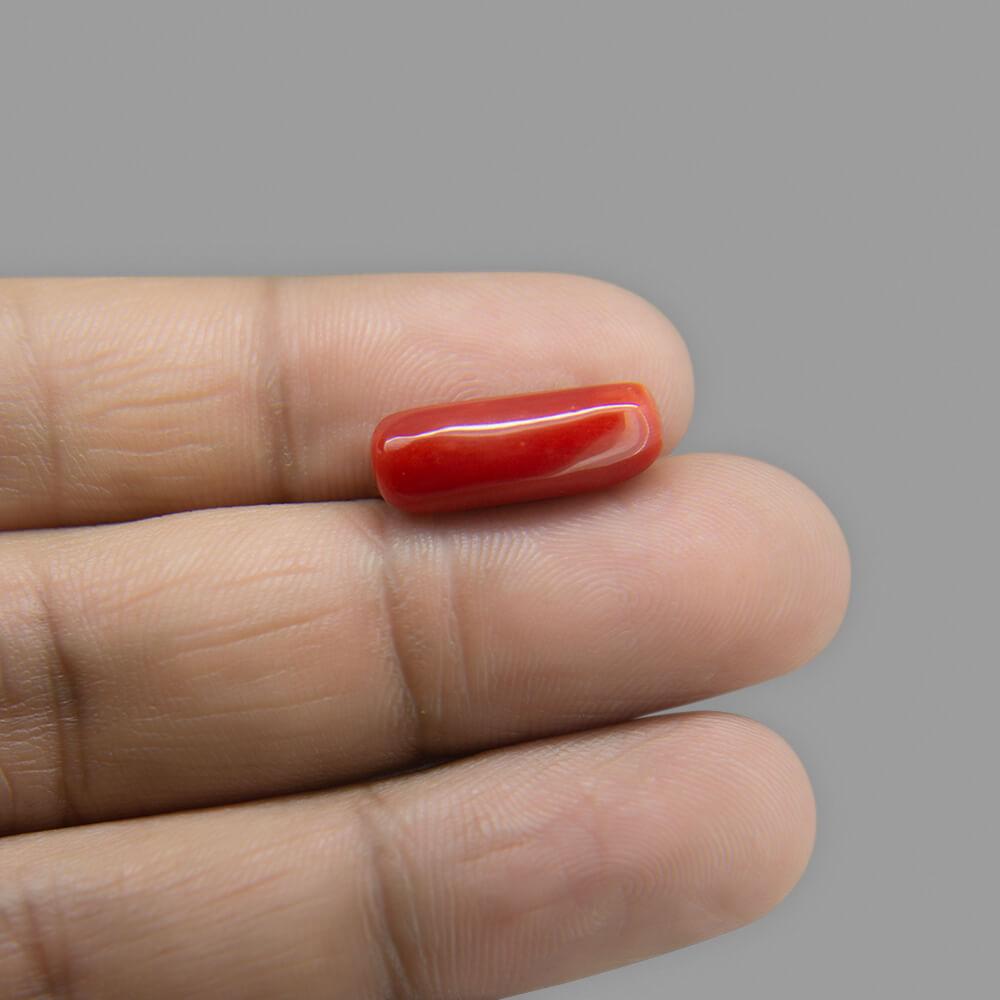 Red Coral - 4.42 Carat