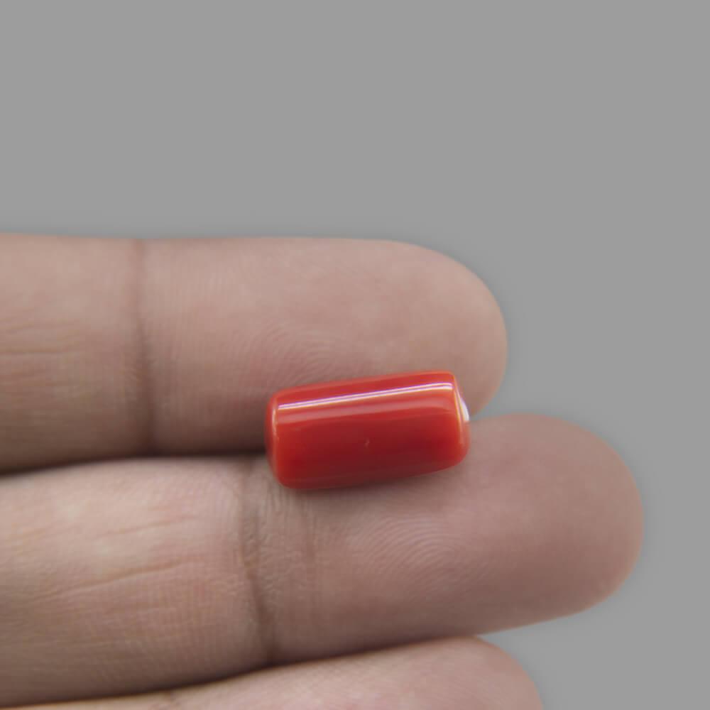 Red Coral - 8.85 Carat