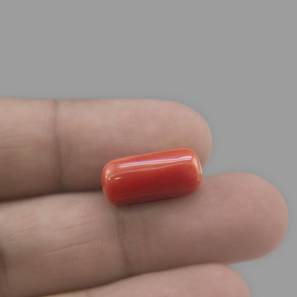 Red Coral - 7.29 Carat