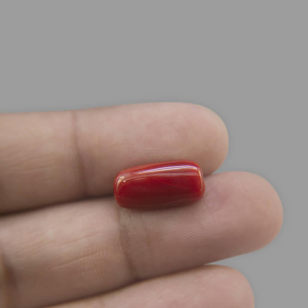 Red Coral - 8.31 Carat