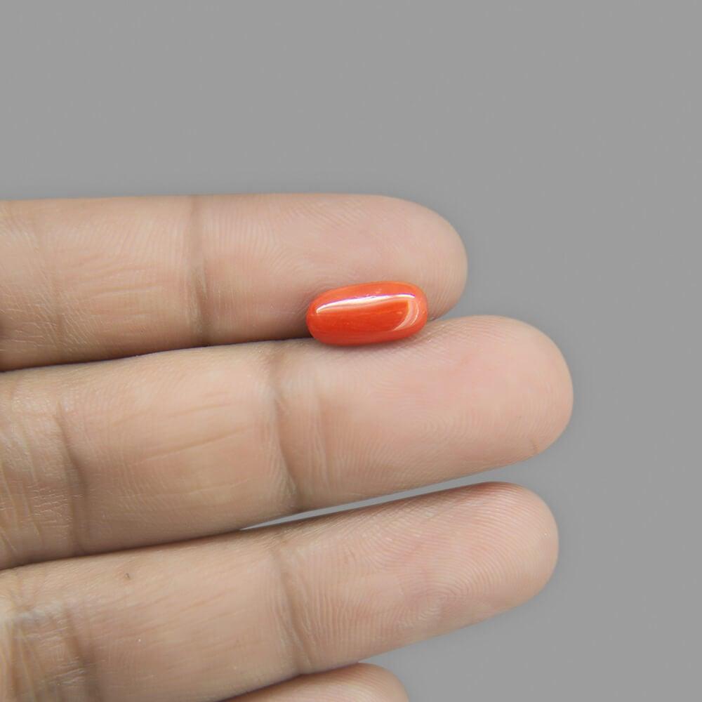 Red Coral - 2.34 Carat