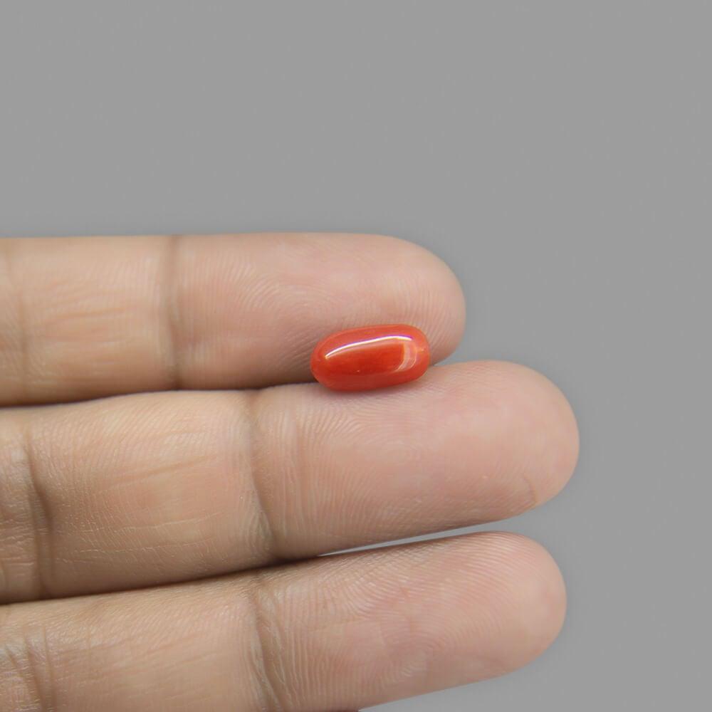 Red Coral - 2.43 Carat