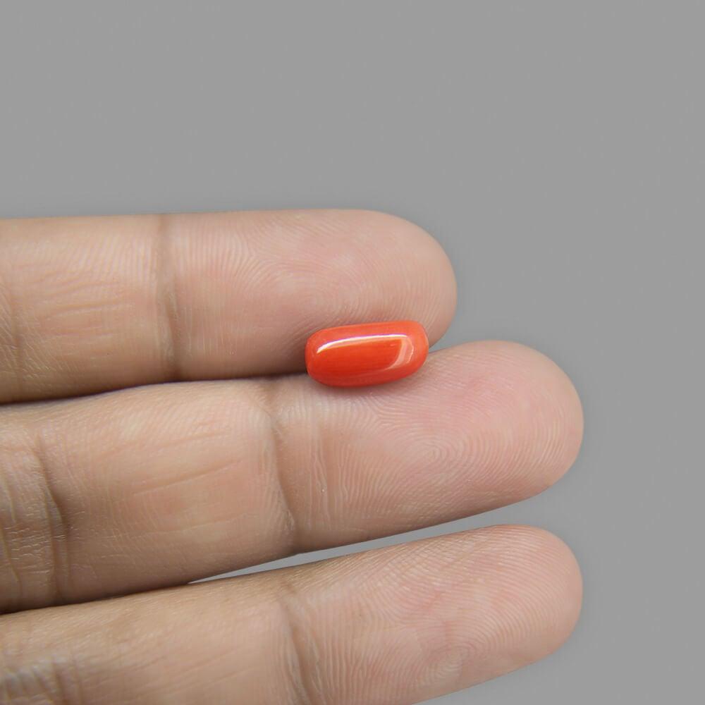 Red Coral - 2.67 Carat