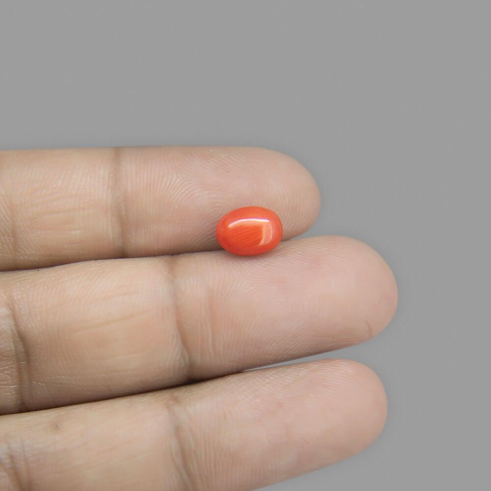 Red Coral - 1.92 Carat