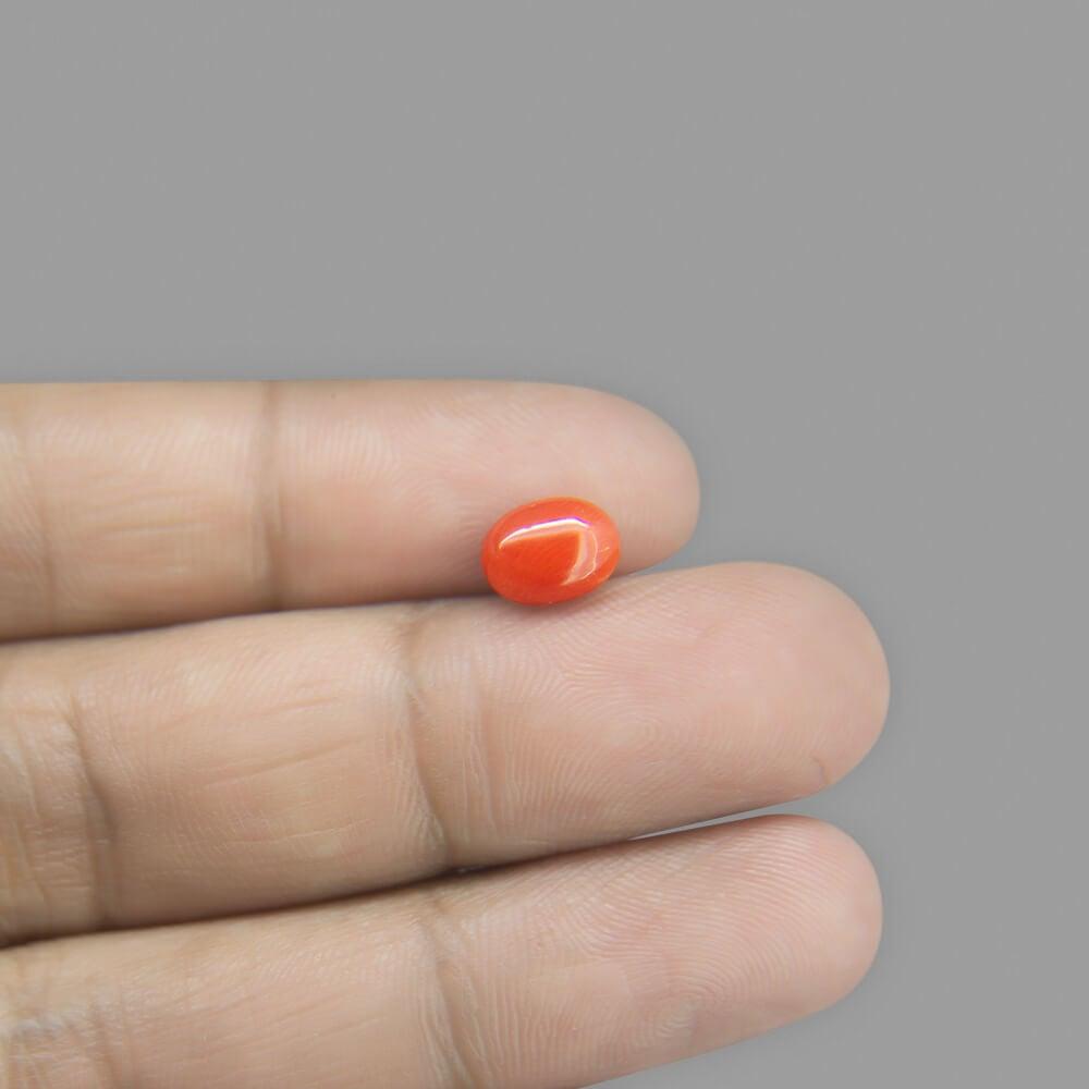 Red Coral - 1.67 Carat