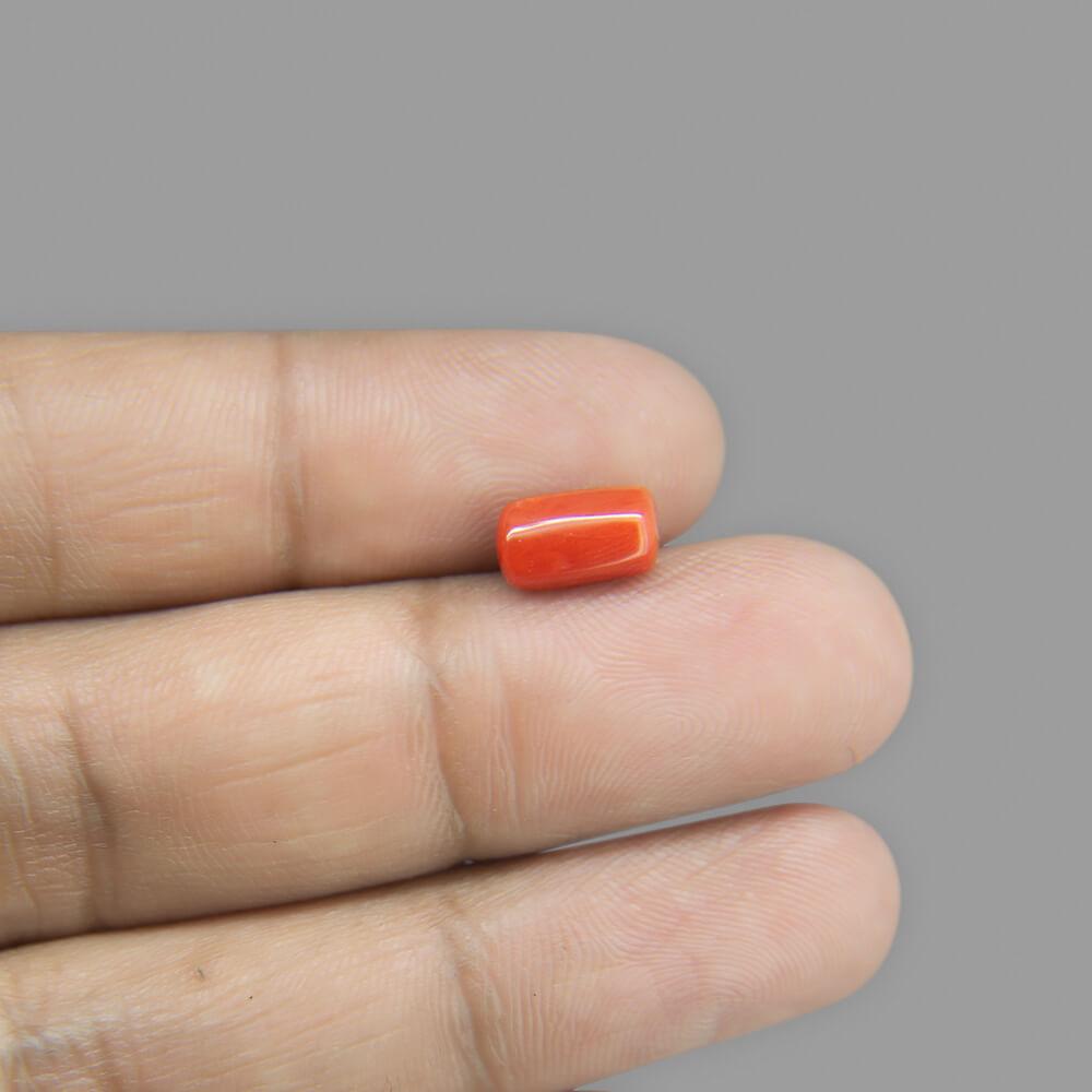 Red Coral - 2.79 Carat