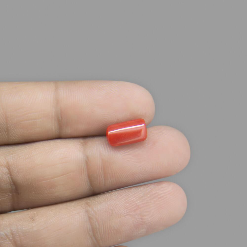 Red Coral - 2.73 Carat