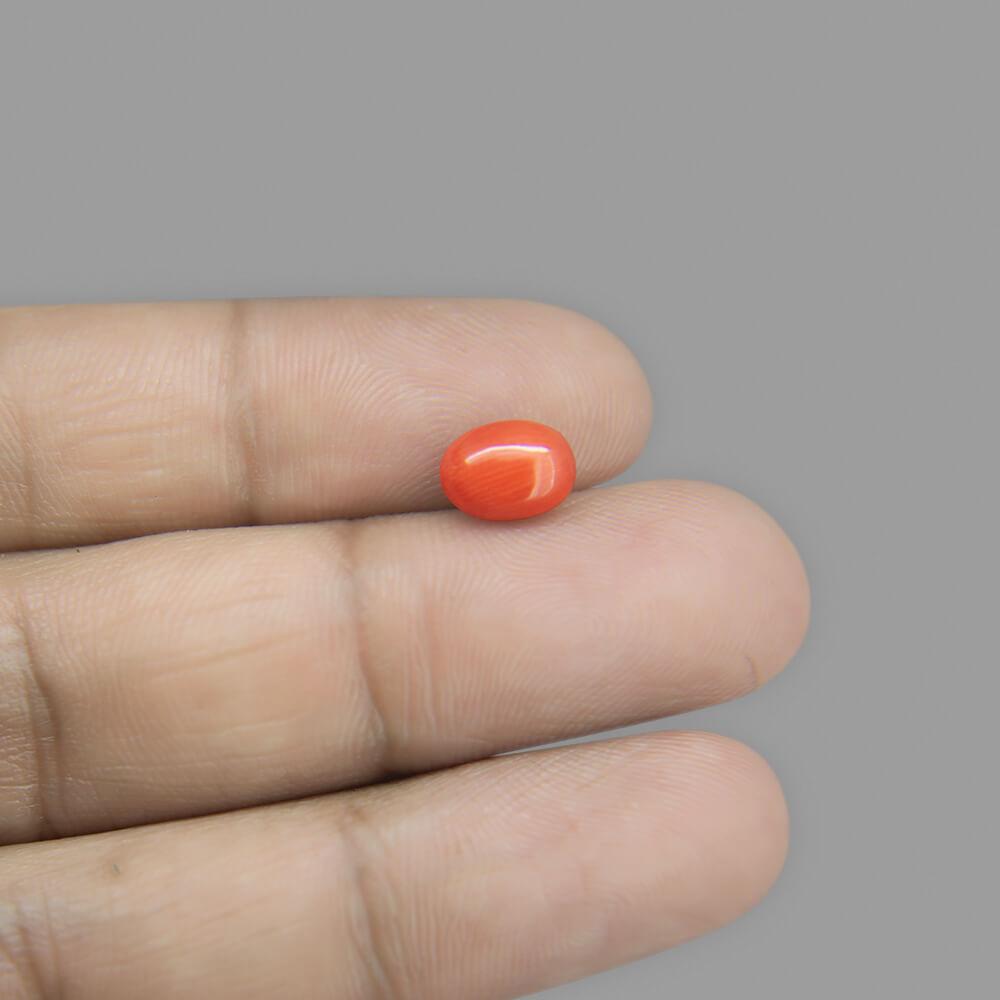 Red Coral - 2.05 Carat