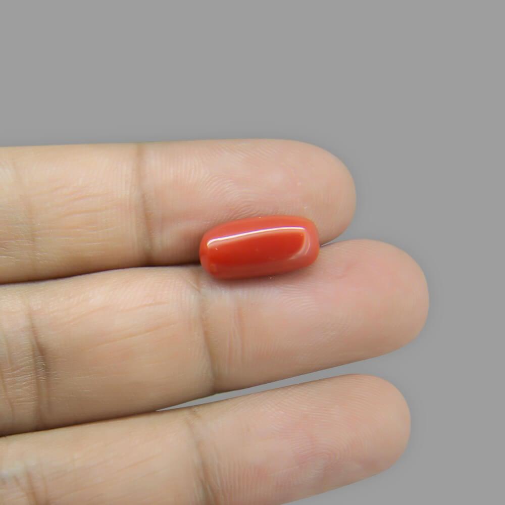 Red Coral - 5.84 Carat
