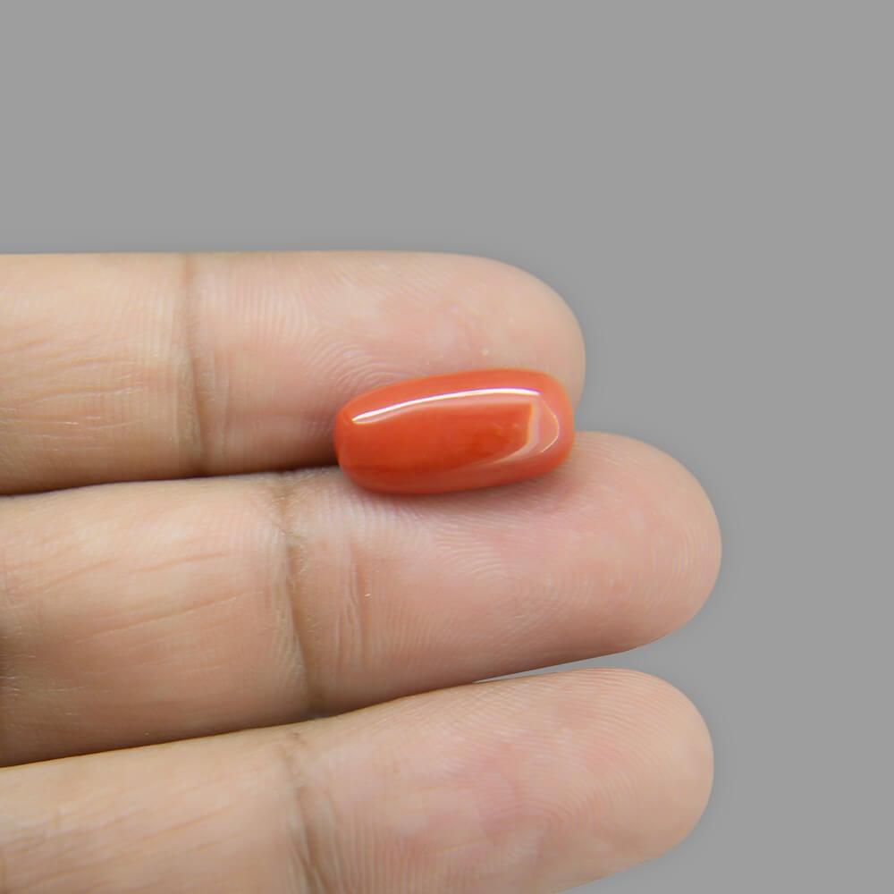 Red Coral - 5.52 Carat