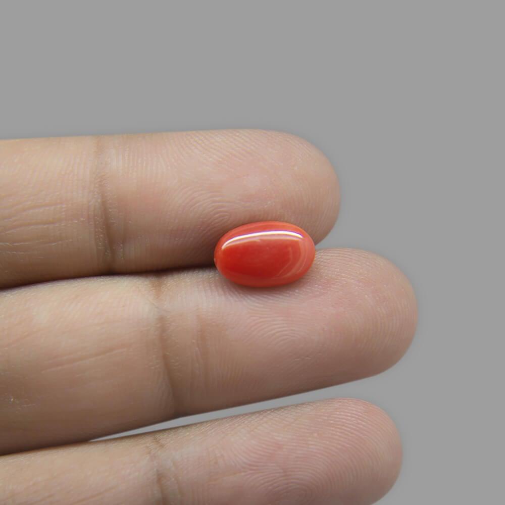 Red Coral - 3.35 Carat