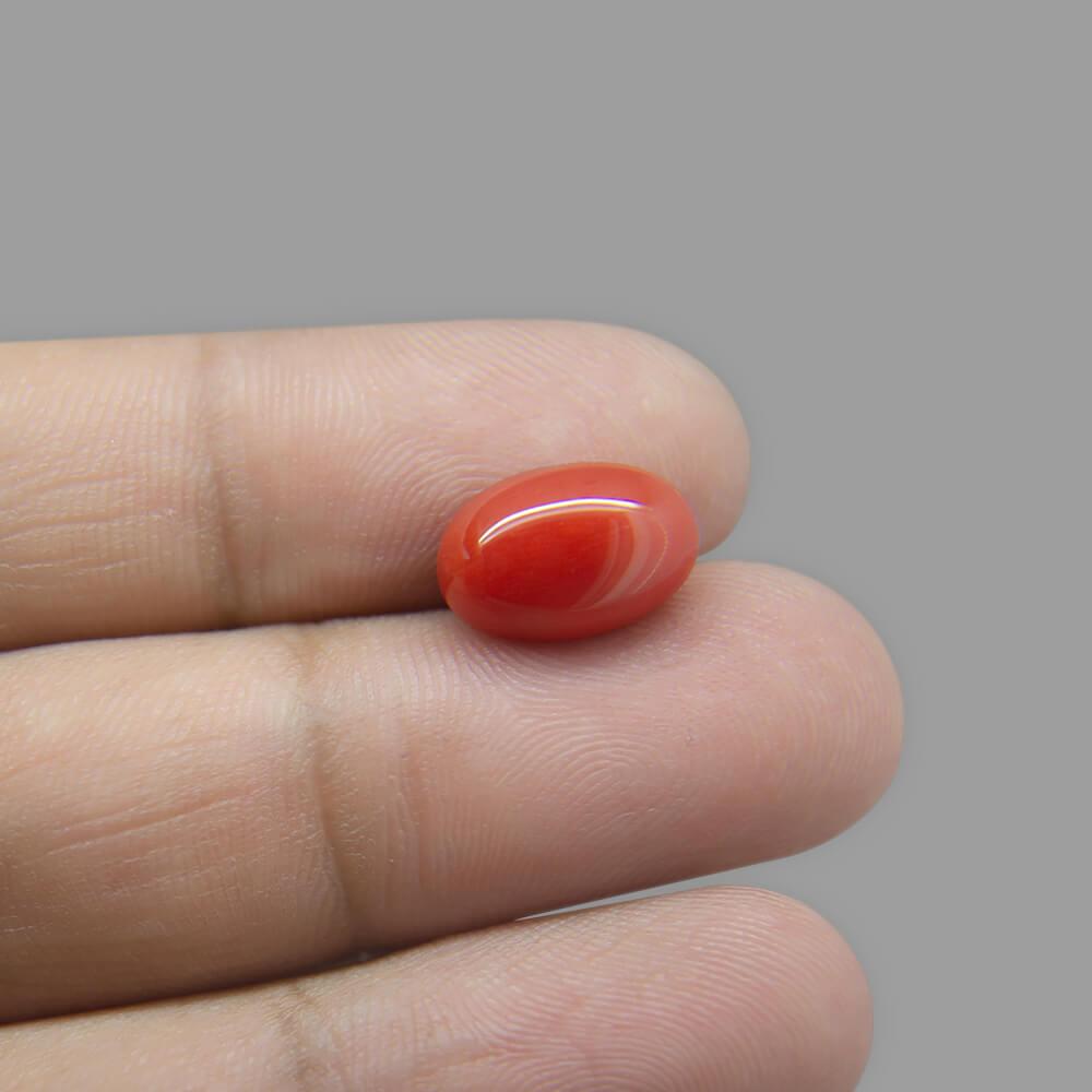 Red Coral - 5.06 Carat