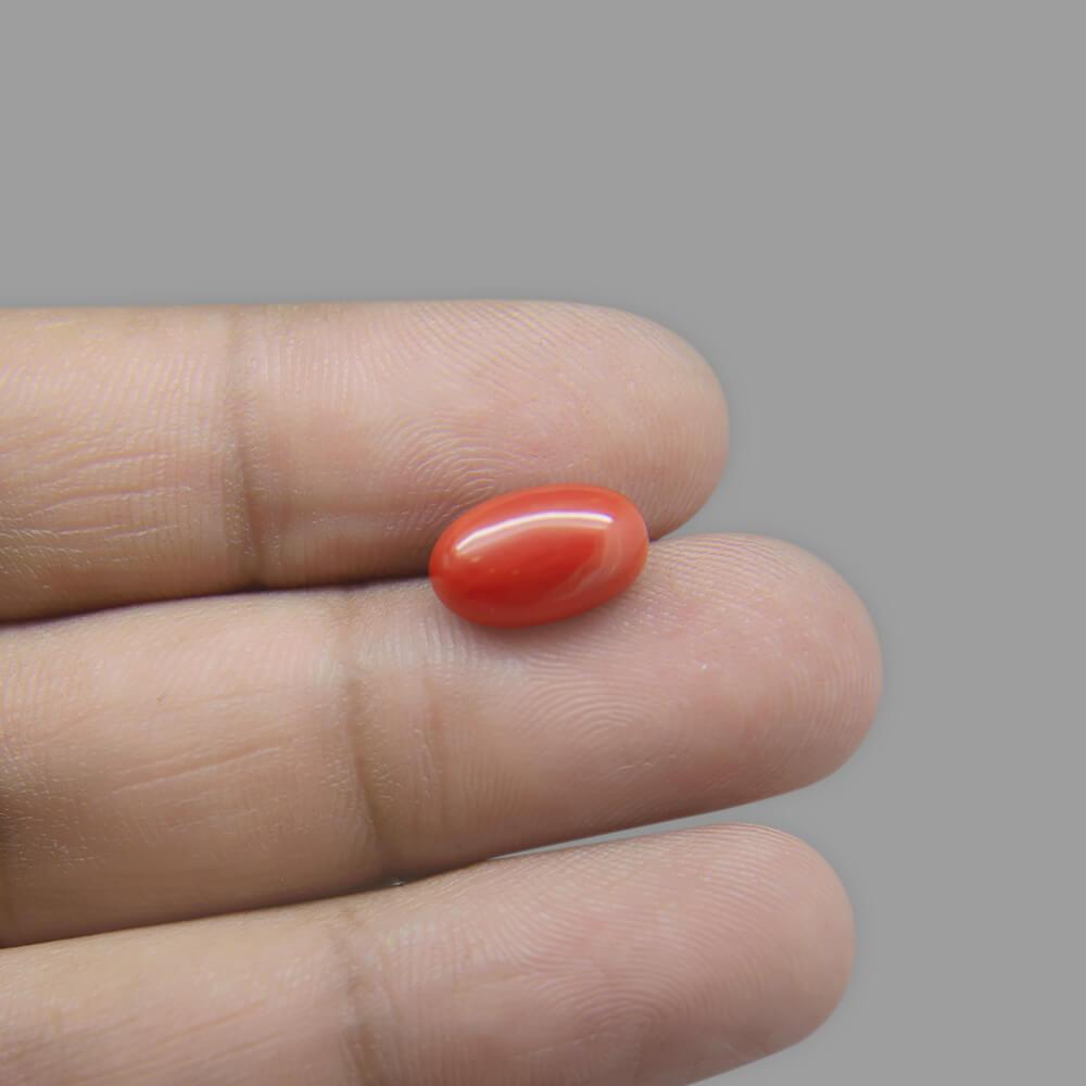 Red Coral - 3.84 Carat