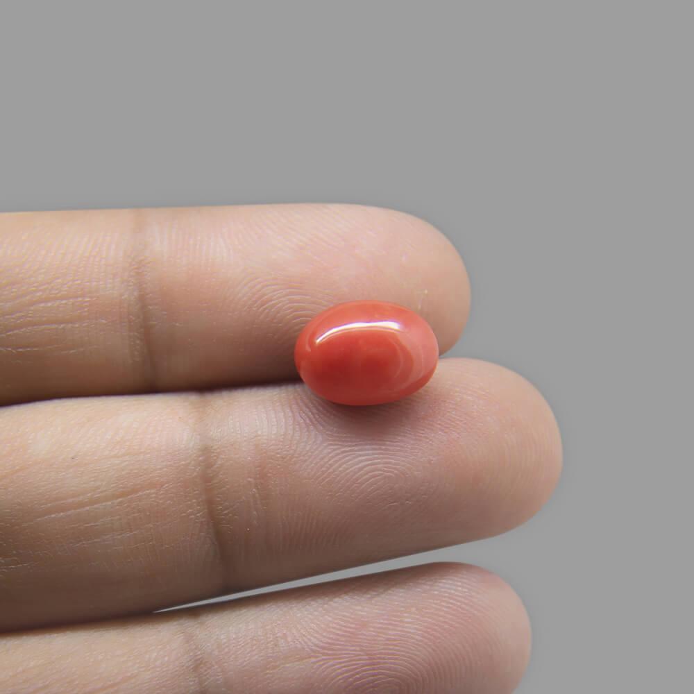 Red Coral - 4.32 Carat