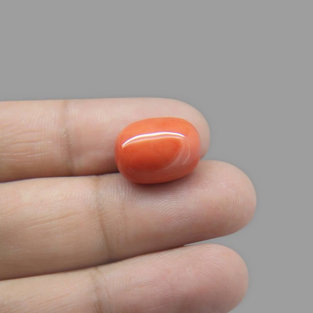 Red Coral - 14.36 Carat