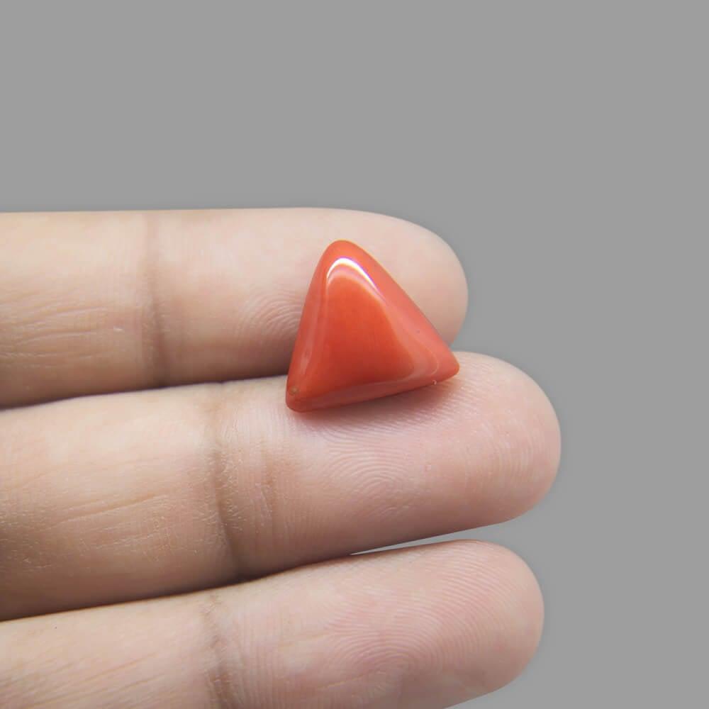 Red Coral - 7.47 Carat