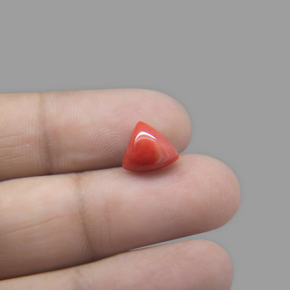 Red Coral - 2.95 Carat