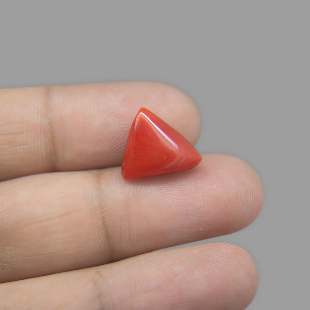 Red Coral - 6.76 Carat