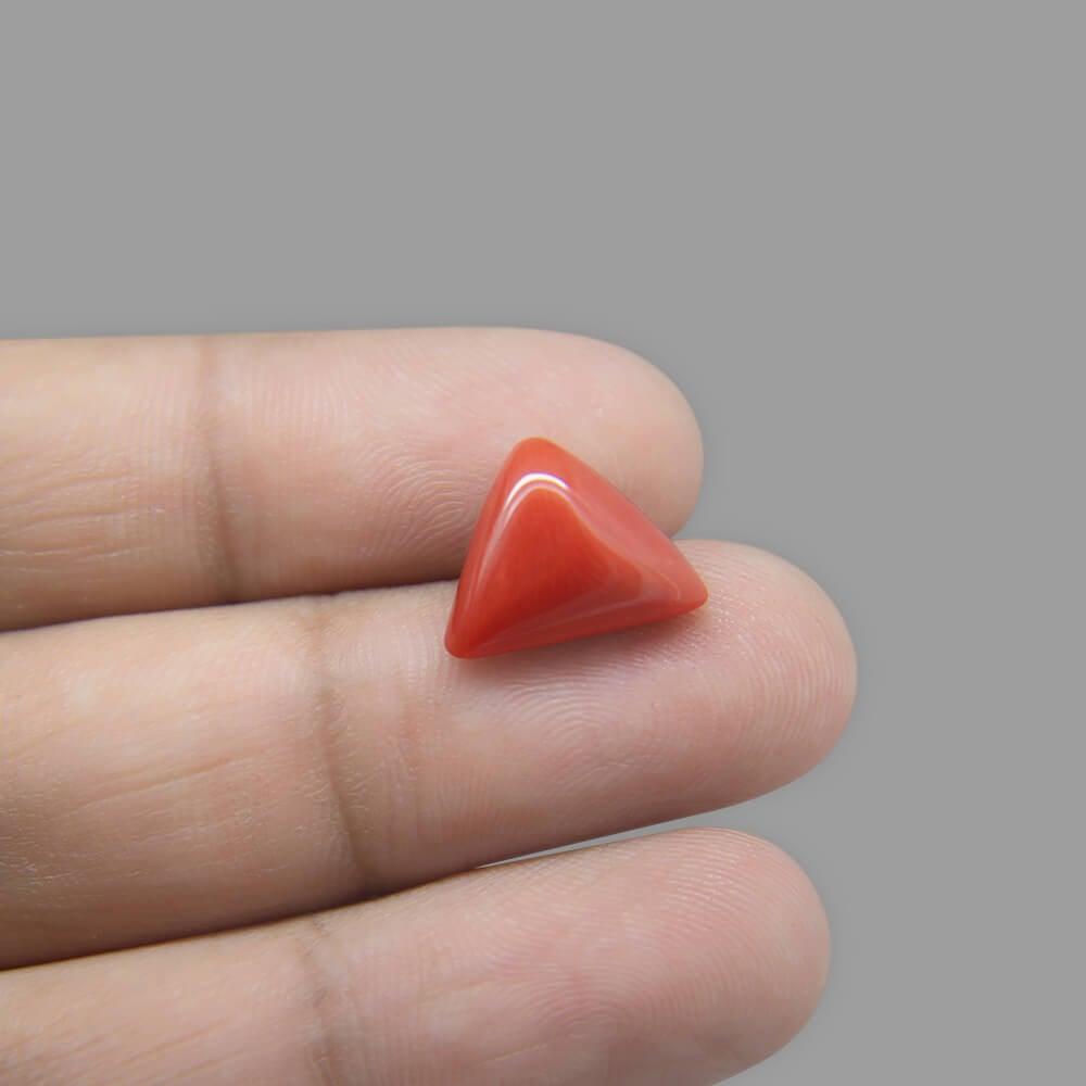 Red Coral - 6.36 Carat