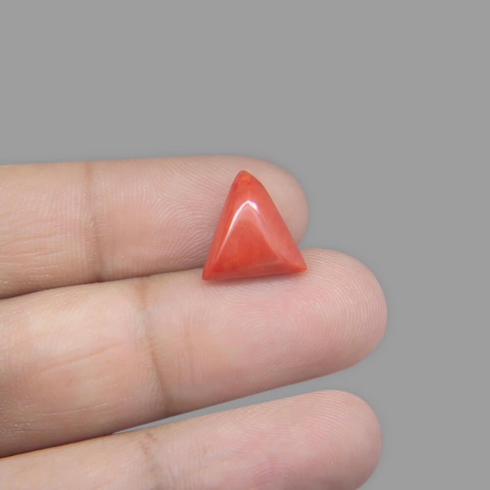 Red Coral - 5.63 Carat