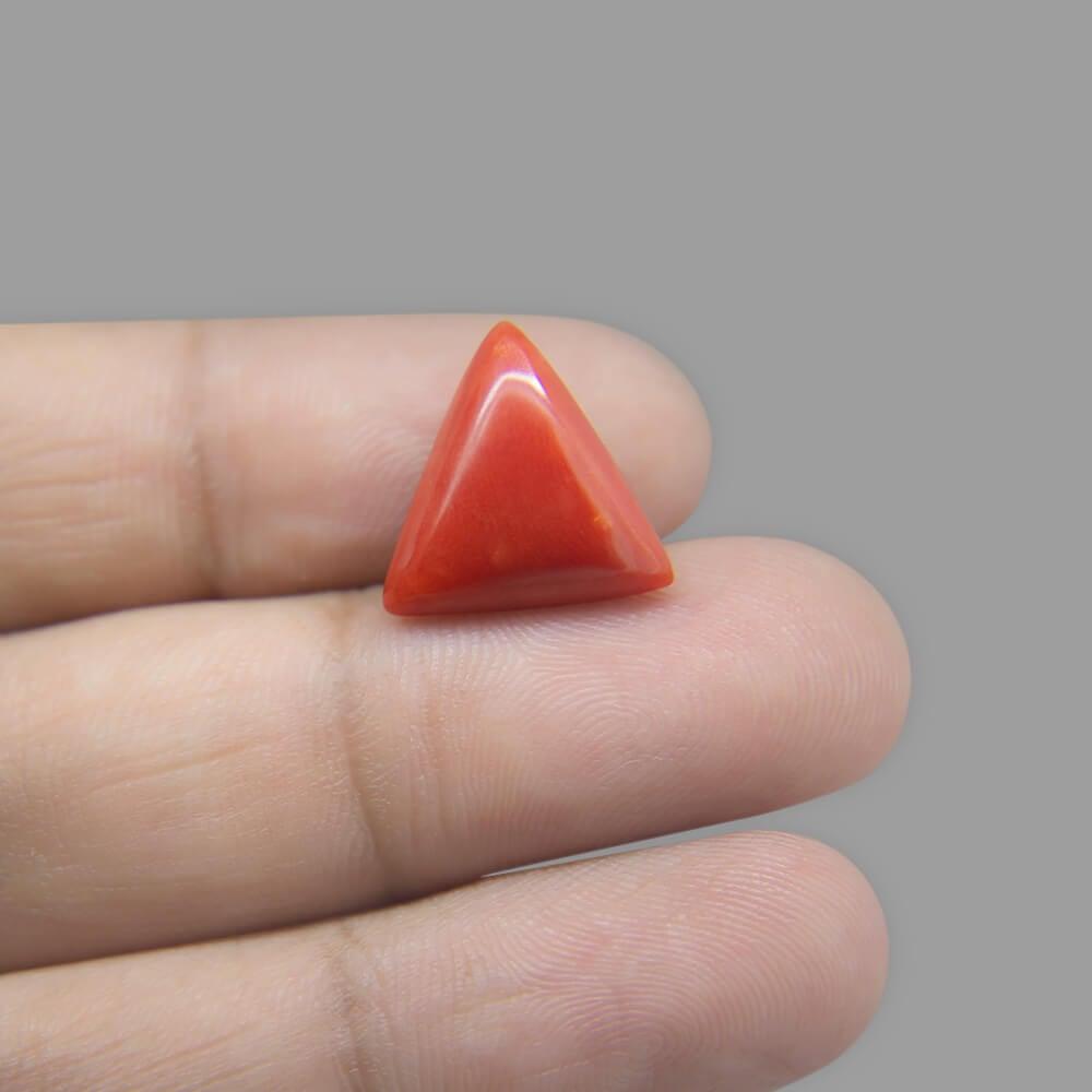 Red Coral - 7.54 Carat