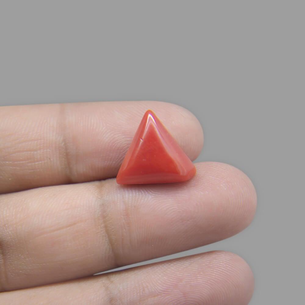 Red Coral - 7.04 Carat