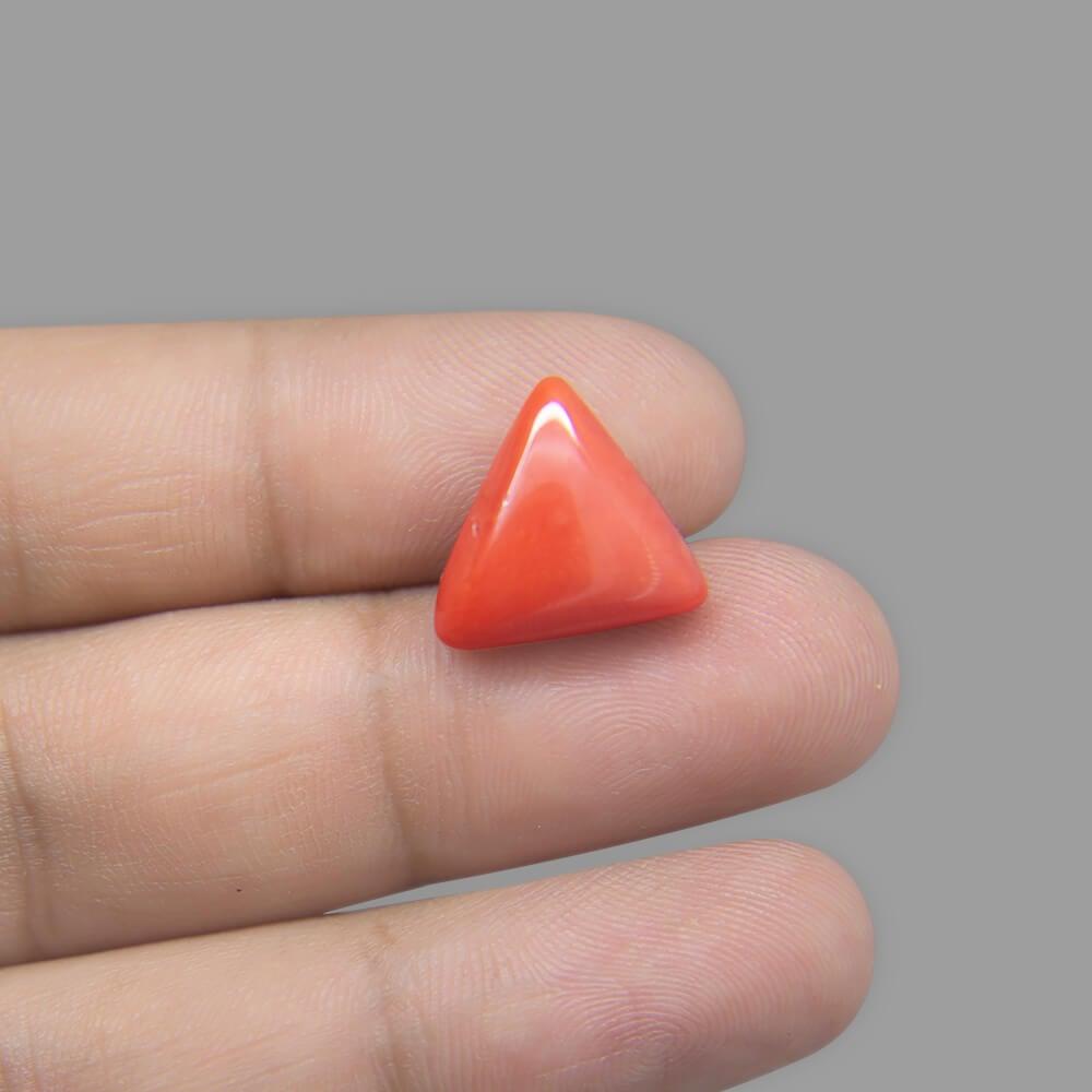 Red Coral - 9.77 Carat