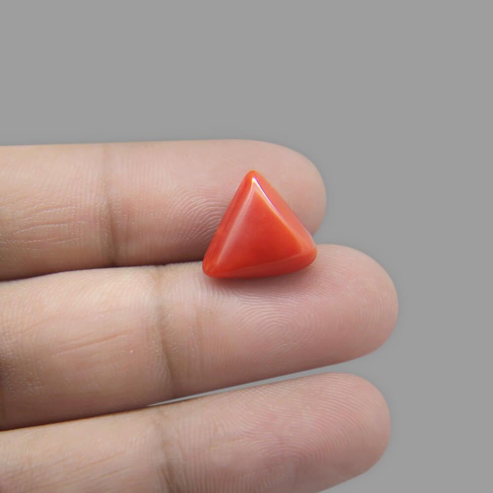 Red Coral - 7.10 Carat