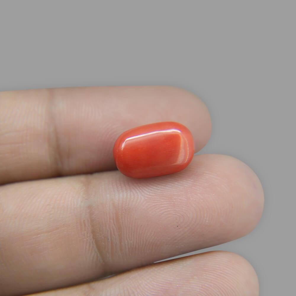 Red Coral - 6.92 Carat