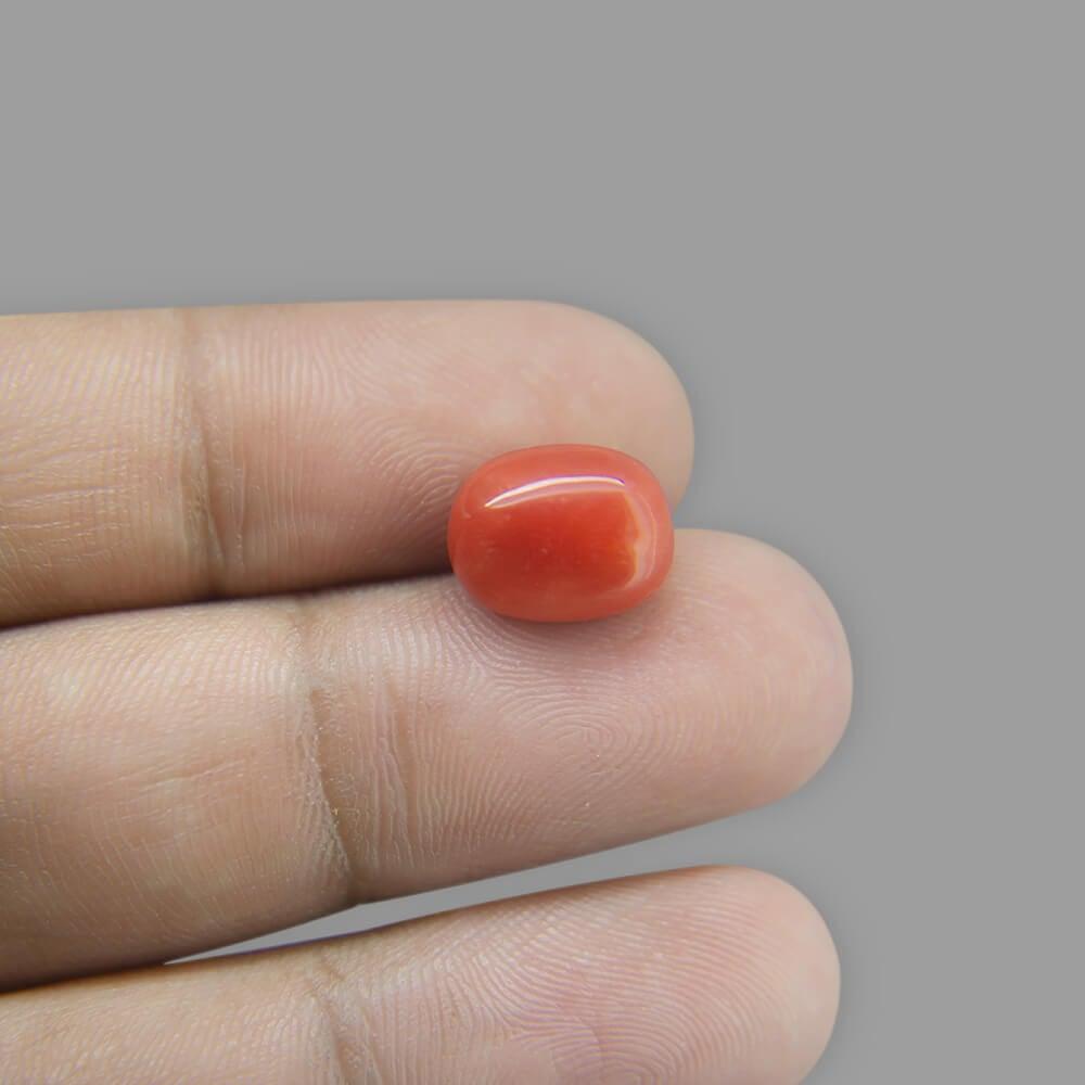 Red Coral - 6.41 Carat