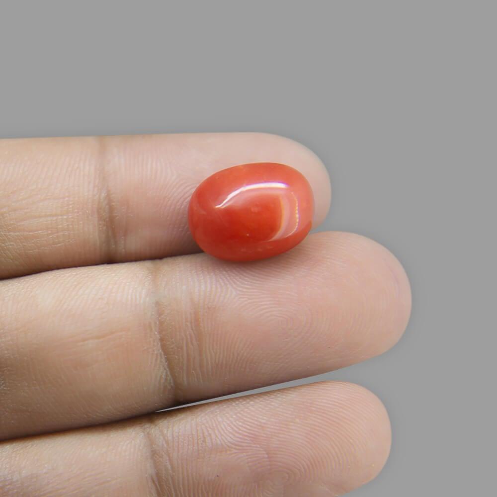 Red Coral - 9.84 Carat