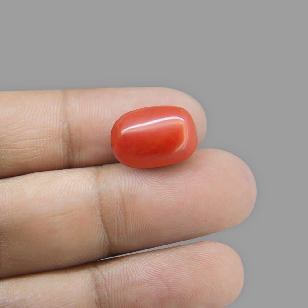 Red Coral - 12.75 Carat