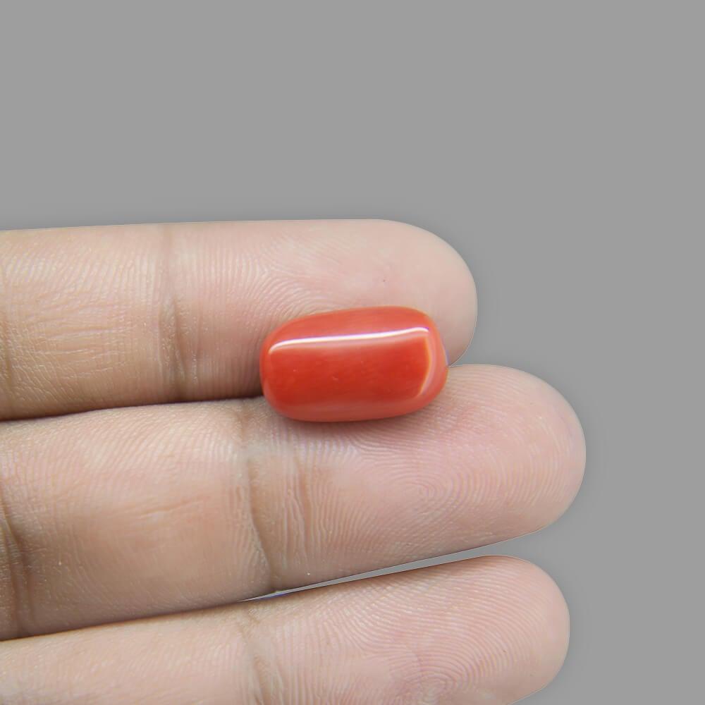 Red Coral - 10.65 Carat