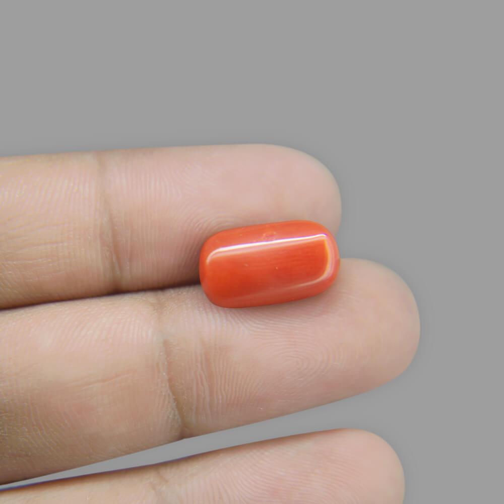 Red Coral - 8.60 Carat