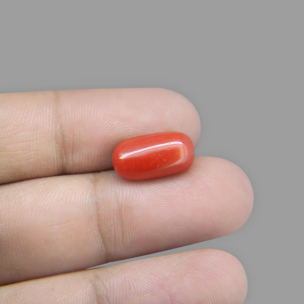 Red Coral - 7.43 Carat