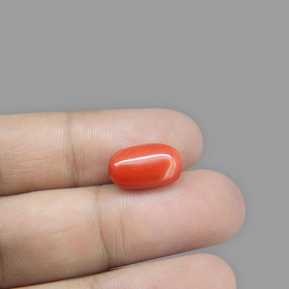 Red Coral - 6.77 Carat