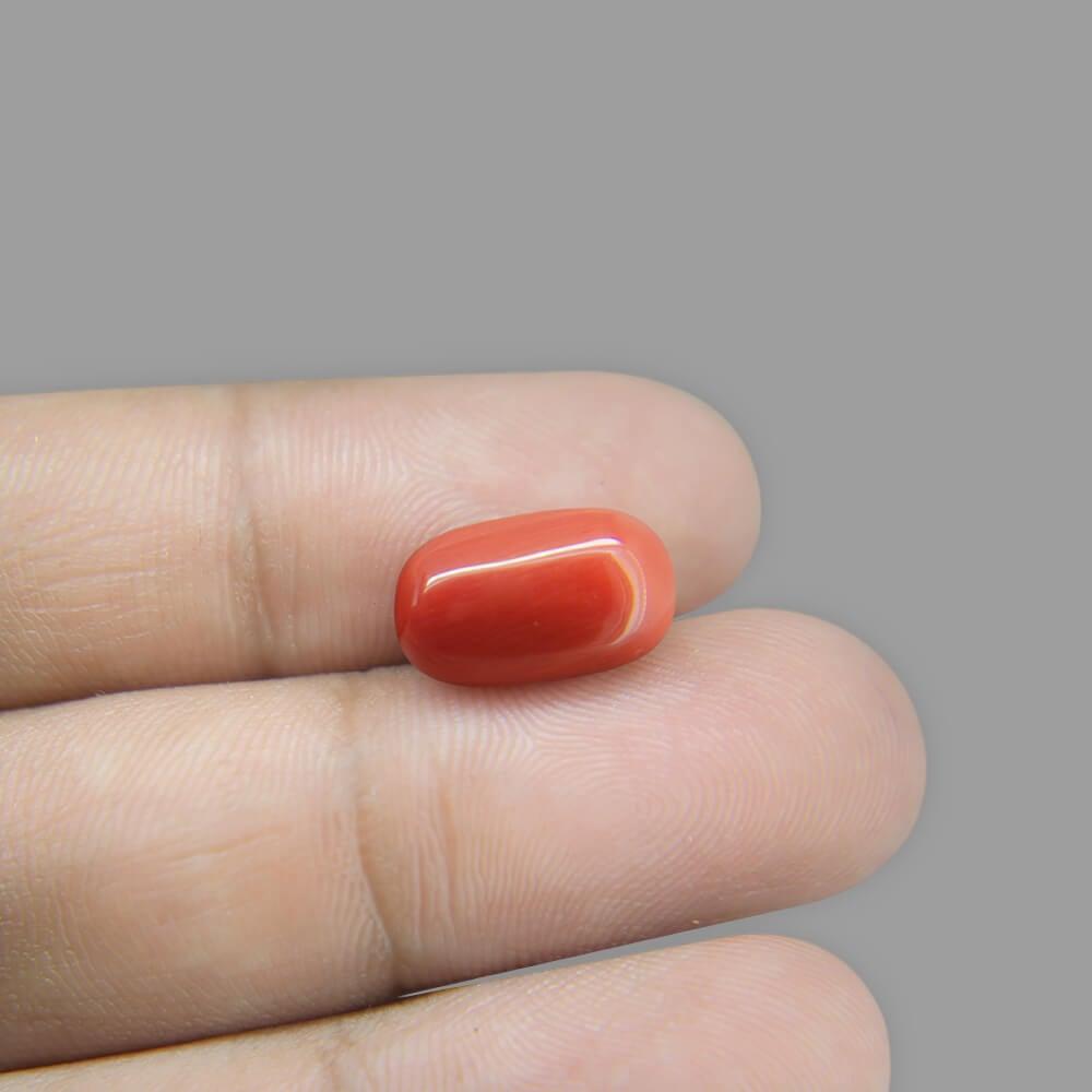 Red Coral - 8.05 Carat