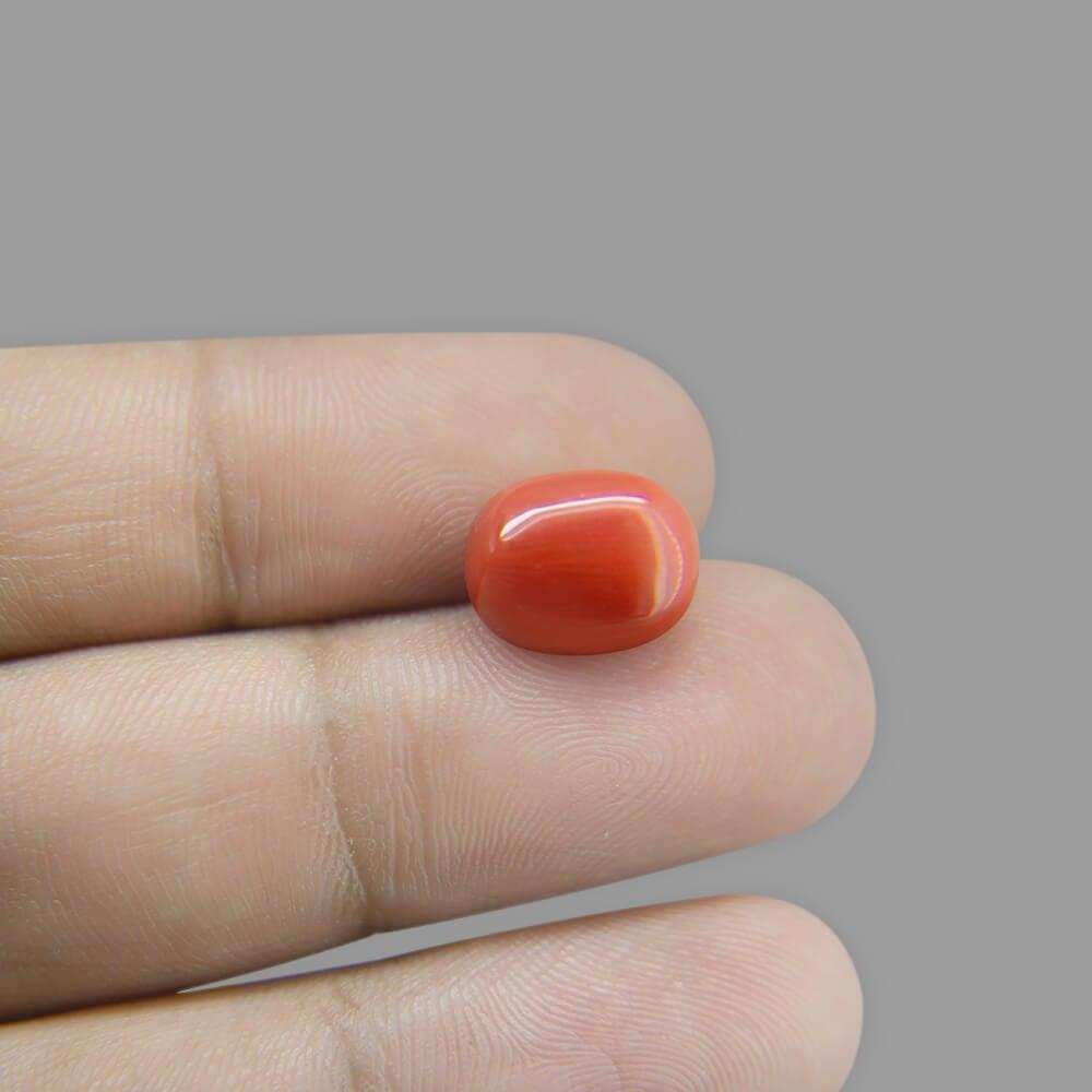 Red Coral - 7.81 Carat