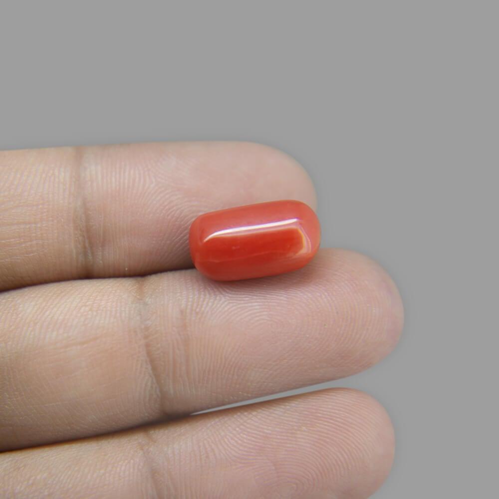 Red Coral - 7.54 Carat