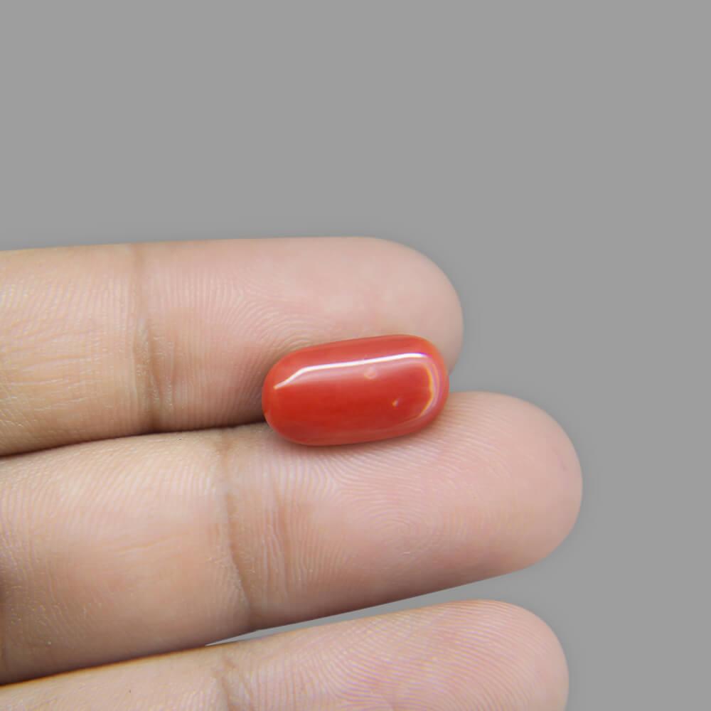 Red Coral - 6.80 Carat