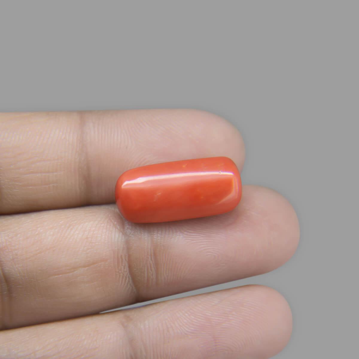 Red Coral - 12.59 Carat